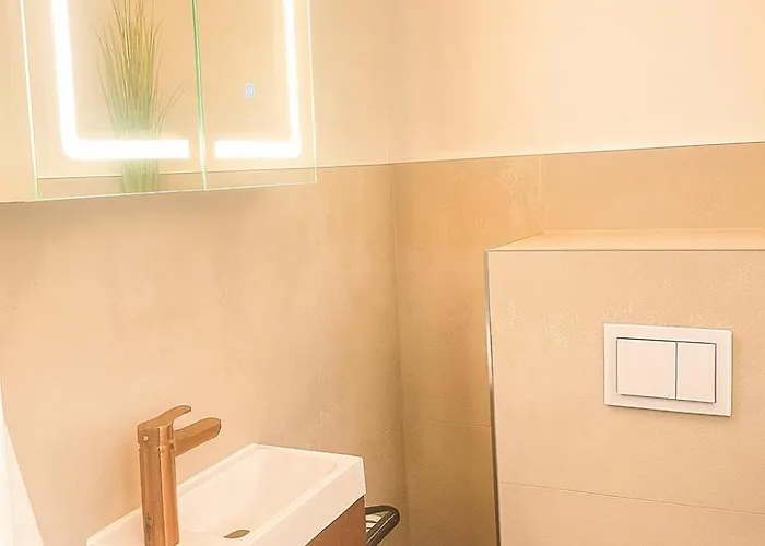 Modernes Mit Grosser Terasse In Appartement